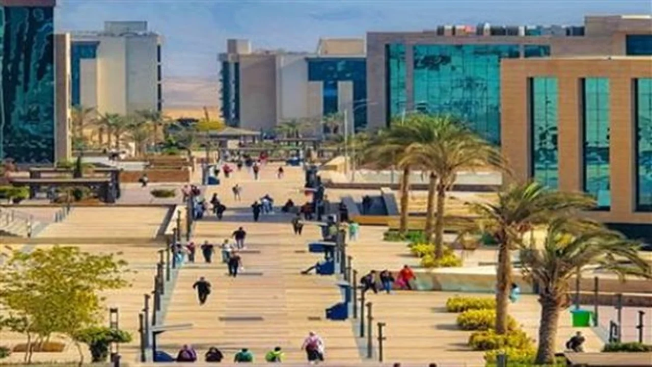 وجهة الطلاب.. جامعة الجلالة تعلن تخصصات جديدة تواكب احتياجات سوق العمل مستقبلاً